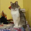 Отзыв от Елизавета Фетисова